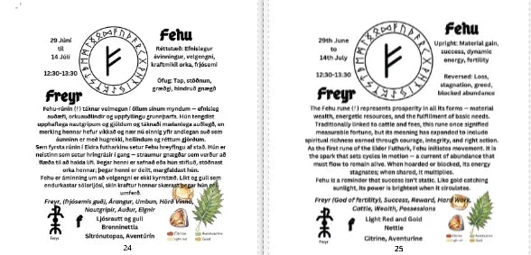 Illustrated E-book to the Nordic Runes in Icelandic & English - Combined version