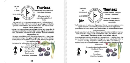 Illustrated E-book to the Nordic Runes in Icelandic & English - Combined version