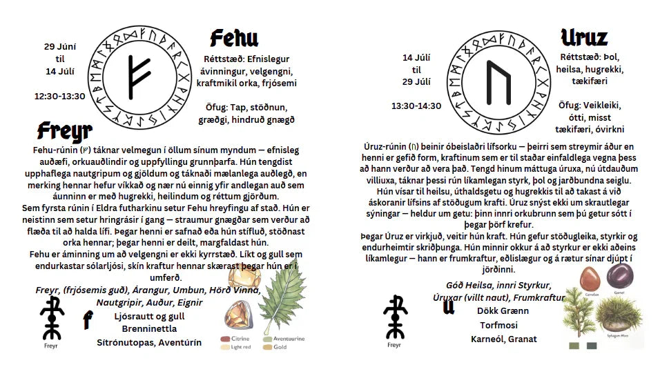 Myndskreytt E-bók á Íslensku Nordic Elder Fúþark Rúnirnar Leiðbeiningar