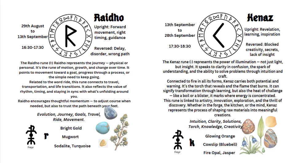 Illustrated E-Book to the Nordic Runes in English