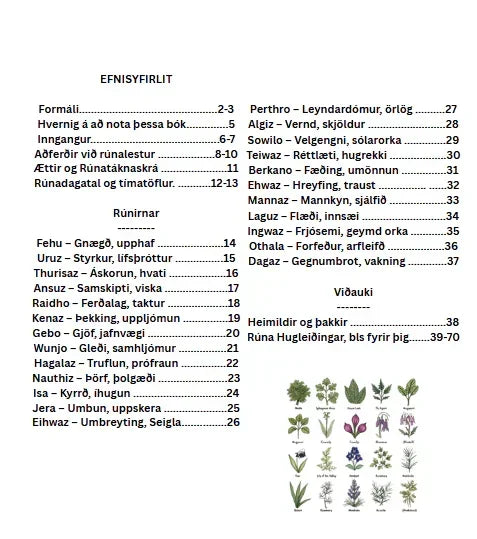 Myndskreytt E-bók á Íslensku Nordic Elder Fúþark Rúnirnar Leiðbeiningar